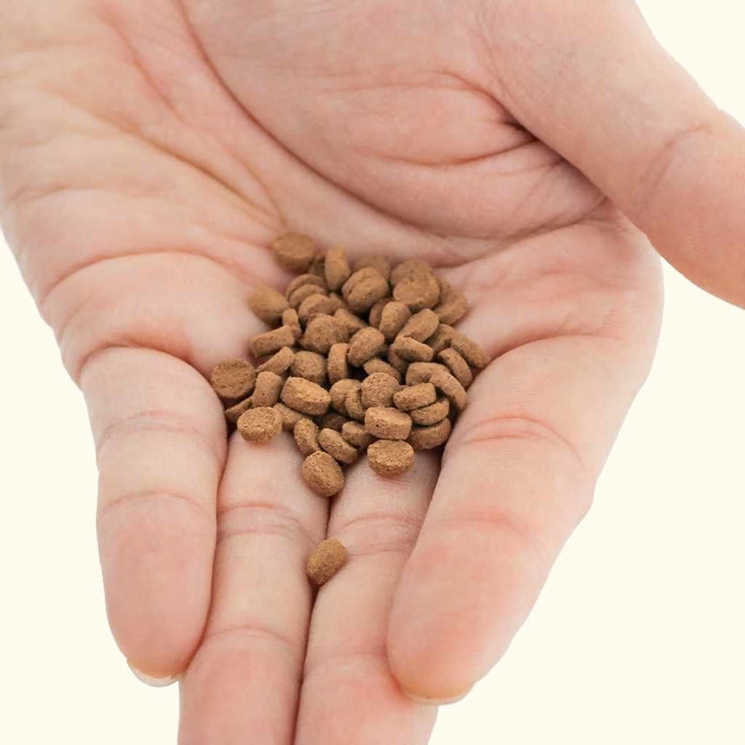 Hikari Carnivore Pellets